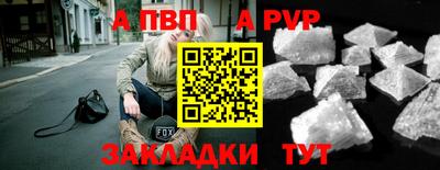 Альфа ПВП Моздок